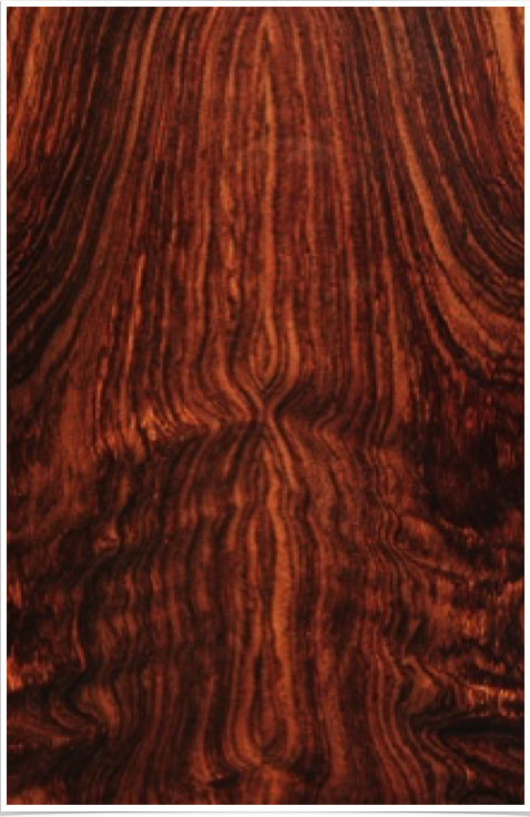 Indian Rosewood