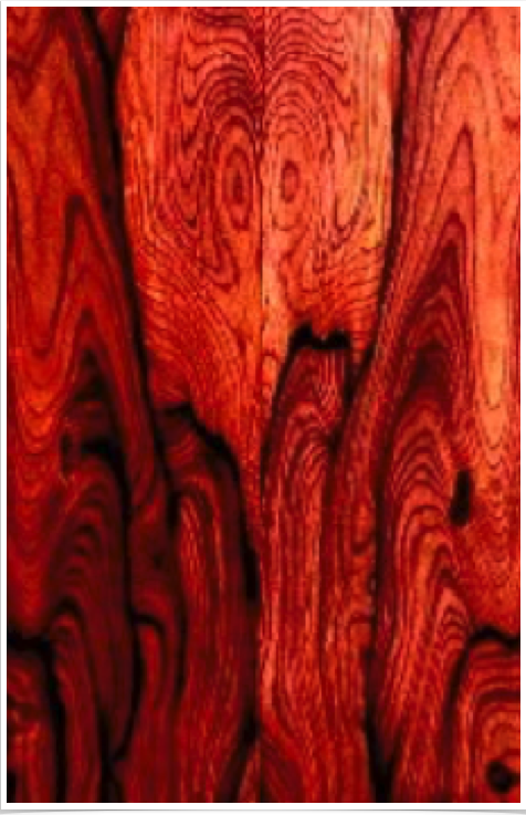 Cocobolo