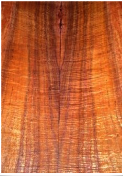 Acacia Koa