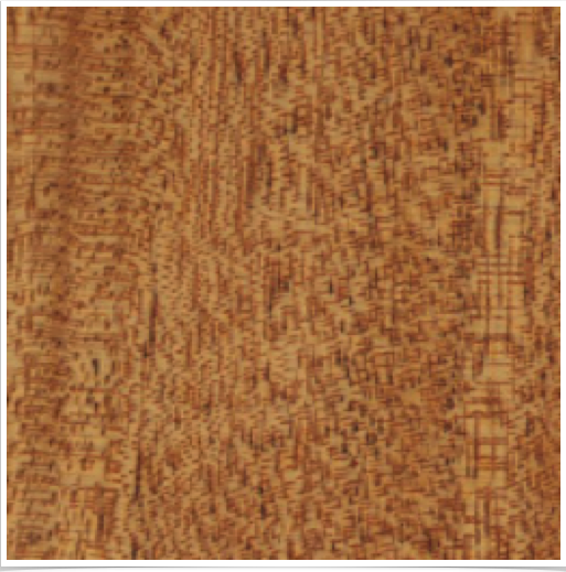 Honduran Mahogany