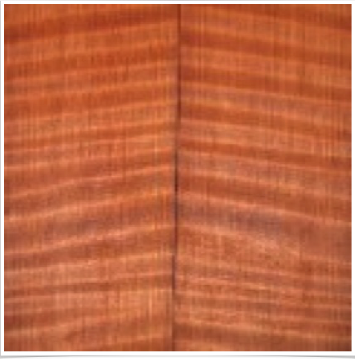 Curly Redwood